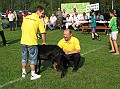 Obraz 132
